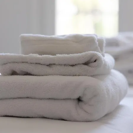 Astoria 3* ראבנה